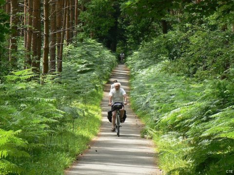 Forêt d'Ermenonville