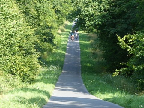 Voie verte, forêt d'Hirson
