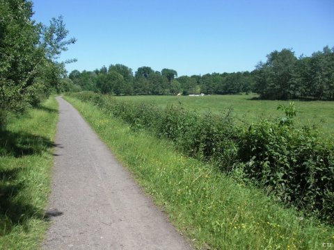 Entre Ferrière-la-petite et Obrechies