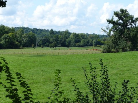 chasseneuil-sur-bonnieure-proximite