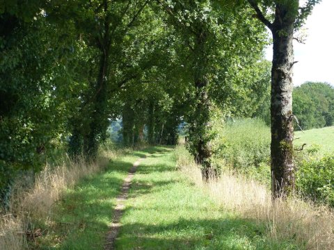st-germain-de-confolens-nord-voie-verte