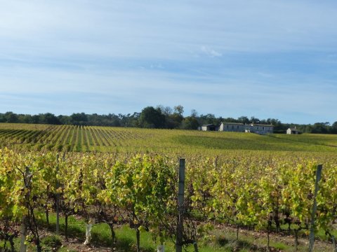 Au sud de Branne