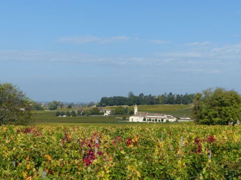 Les vignobles bordelais