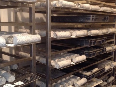 Affinage du fromage de chêvre - Sainte-Maure-de-Touraine