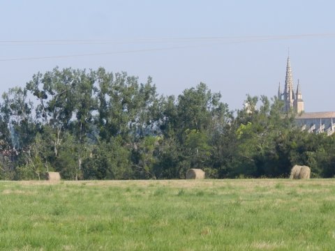 Bazas
