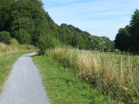 Axe vert Avesnois