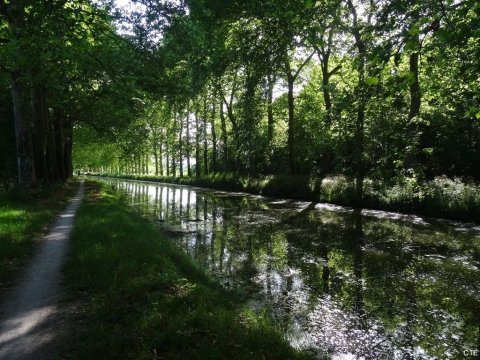Entre Montargis et Châilly-en-Gatinais