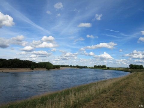Entre Jargeau et Orléans