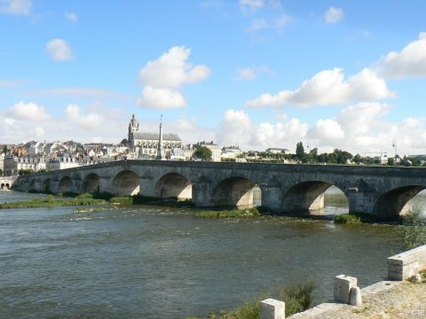 Pont d'Orléans