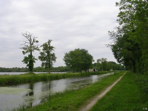 Etang de la Noue Mazone après Grignon